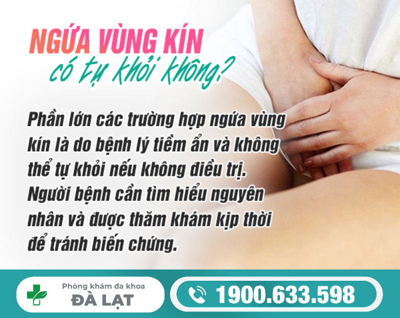 Hình ảnh minh họa